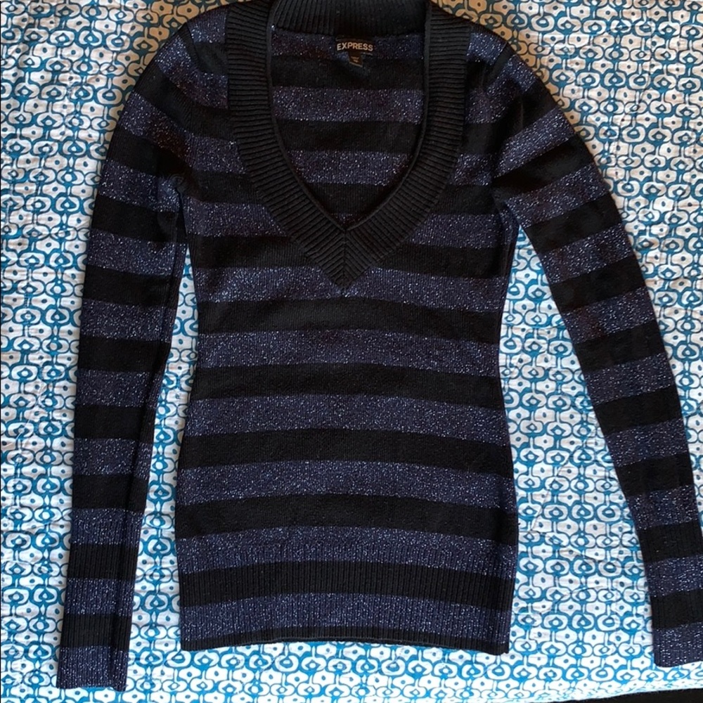 Express stretch shimmer striped sweater